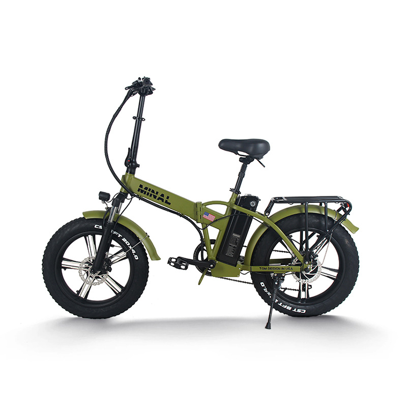 48V 350W 10.5Ah FTC200 전기 자전거  - Cycling Gear For Commuting 리뷰 및 가격